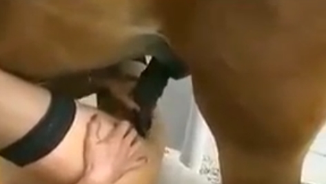 Istri Dipijat Langsung Minta Link Video Viral Guru